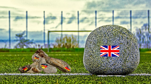 重要原因 重要原因