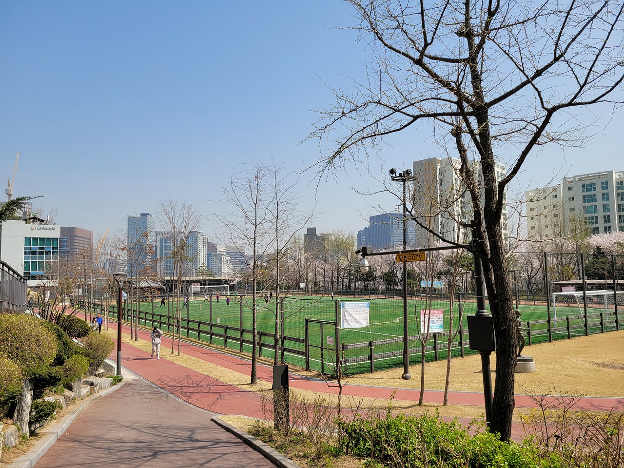 了强有力的 了强有力的