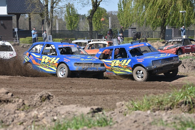 成鲜明对比 成鲜明对比