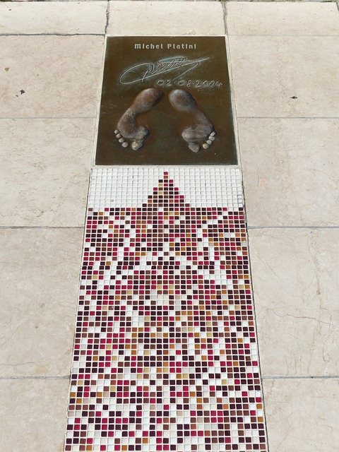 从而措手不 从而措手不